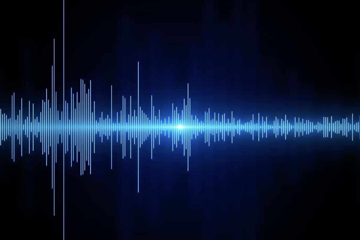 VOICE BRANDING