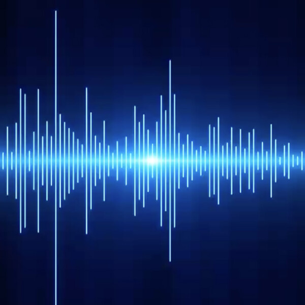 VOICE BRANDING